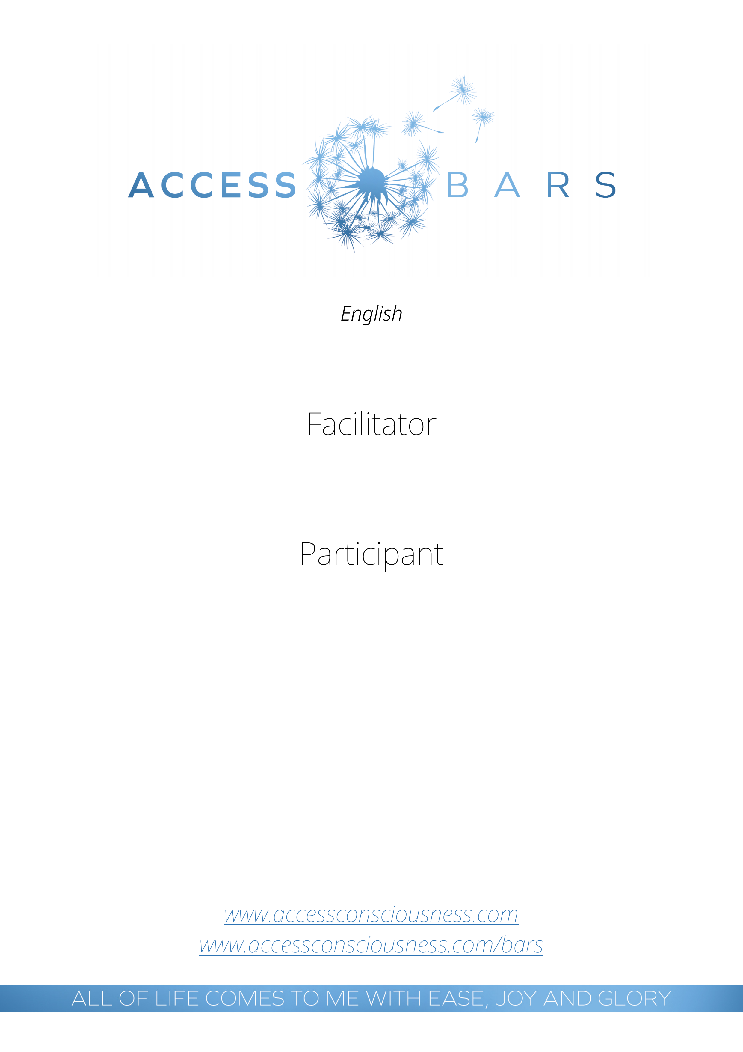 Access Bars